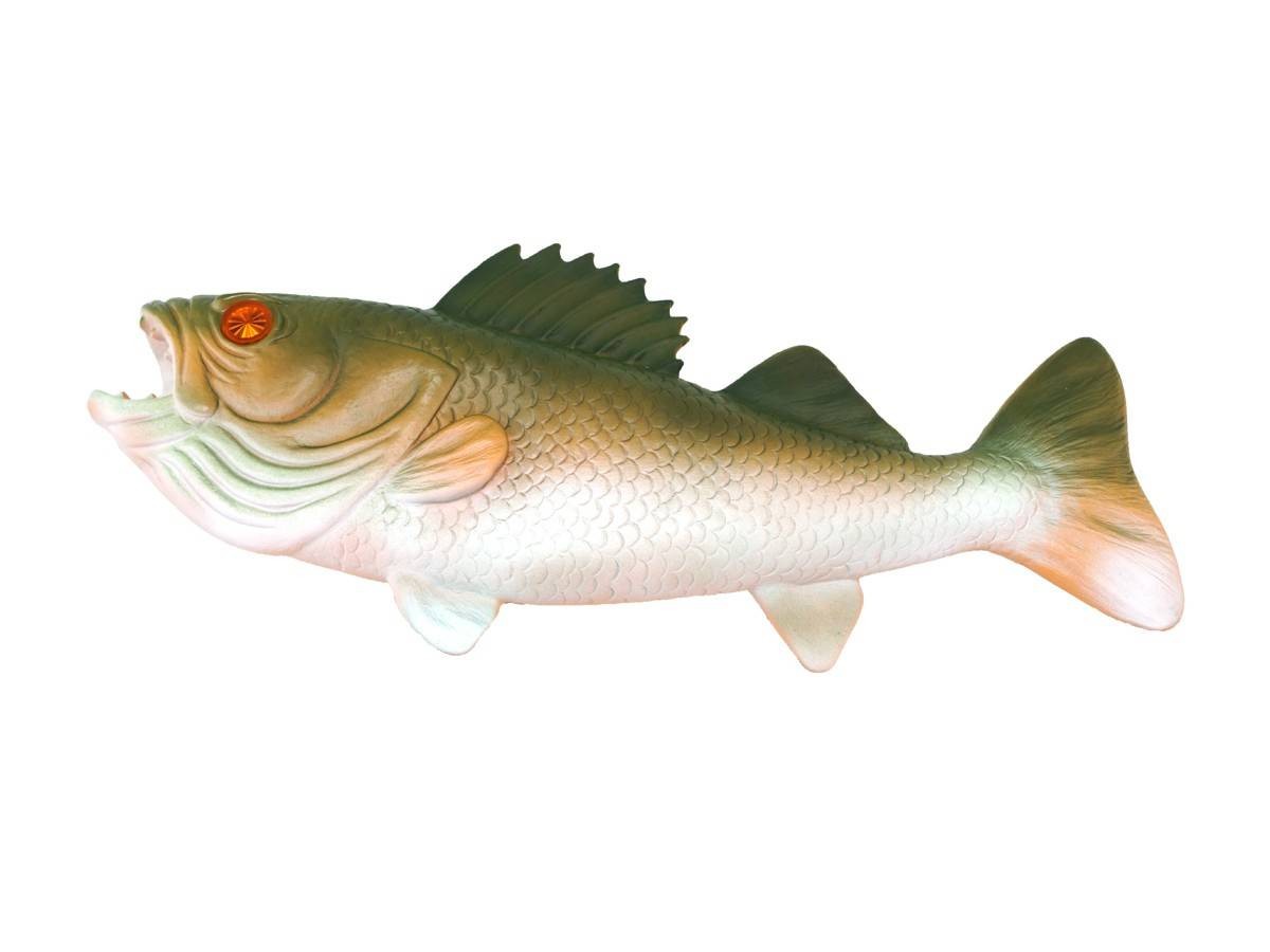 fish tales accessories Classic Teaze Fisherman Zombie Bass Fishing T Shirt Tee Black Clothing, Shoes & its perfect for handling catches safely in tight spaces Toadfish Inshore Essentials Tool Kit